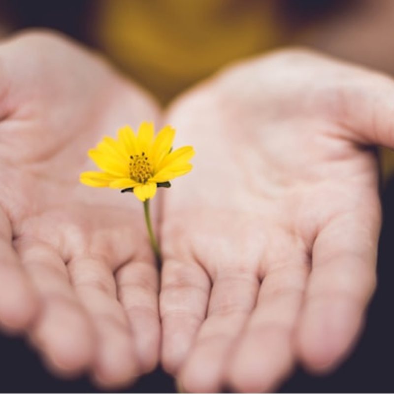 foto-tres-blog-blossom